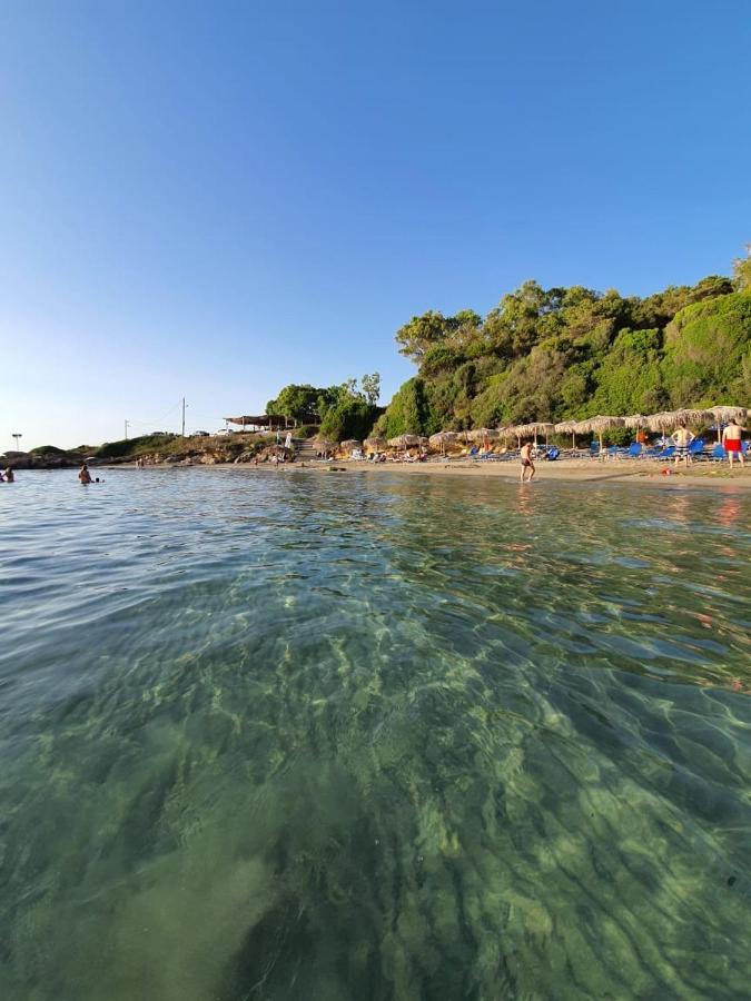 Villa Olympia Skafidia Dış mekan fotoğraf