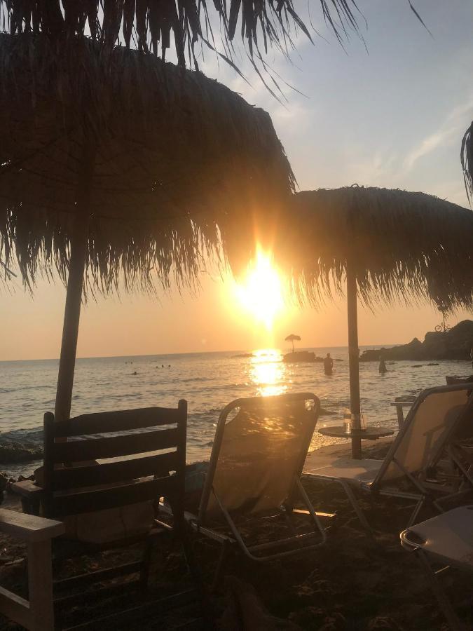 Villa Olympia Skafidia Dış mekan fotoğraf