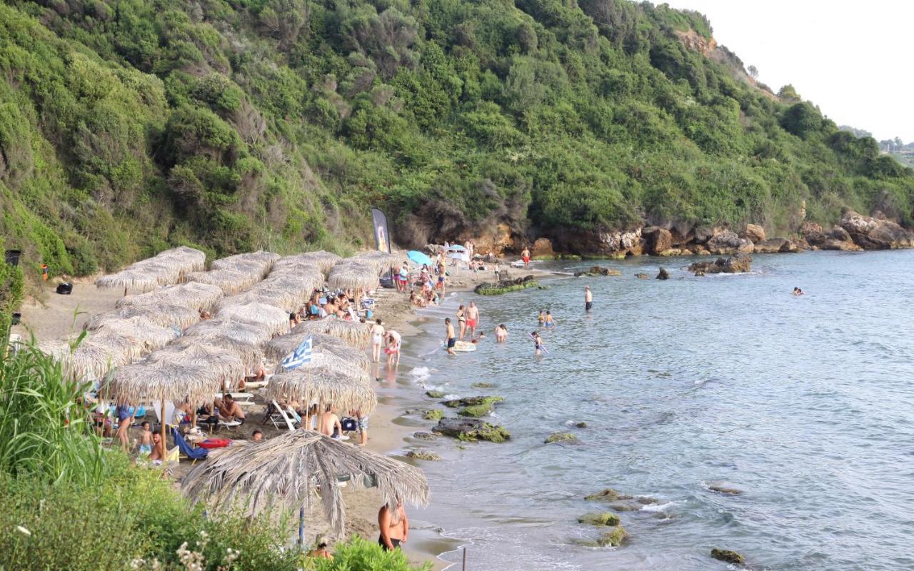 Villa Olympia Skafidia Dış mekan fotoğraf