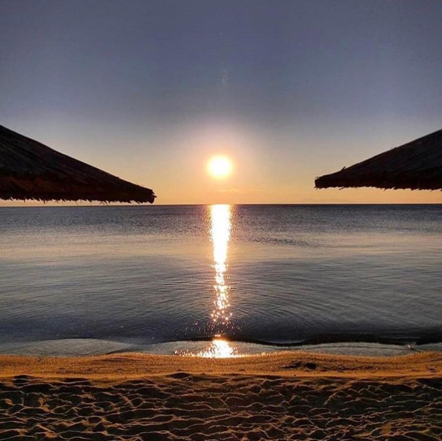Villa Olympia Skafidia Dış mekan fotoğraf